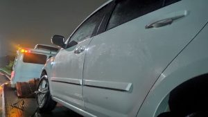 Guincho em Jardim Camburi