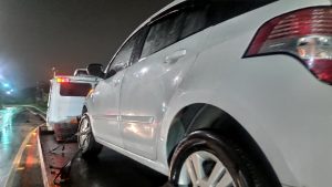 Guincho em Jardim Camburi