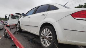 Guincho em Jardim Camburi