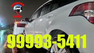 Guincho em Jardim Camburi