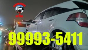 Guincho em Jardim Camburi