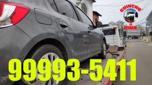 Guincho em Jardim Camburi